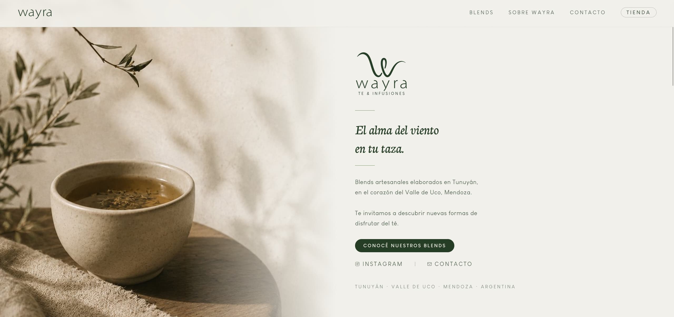 Screenshot of Wayra: Brand & Website